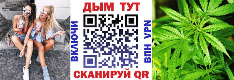 Купить  Кореновск  Шишки марихуана SATIVA & INDICA 